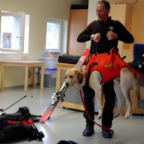Lawinenhund-2