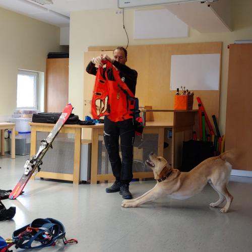 Lawinenhund-4