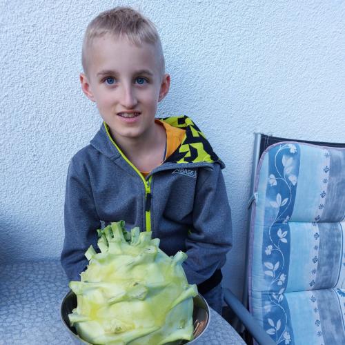 Kohlrabi-18