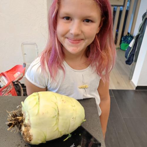 Kohlrabi-21