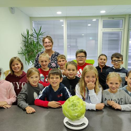 Kohlrabi-23