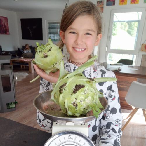 Kohlrabi-24
