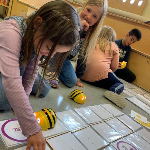 BeeBots-07