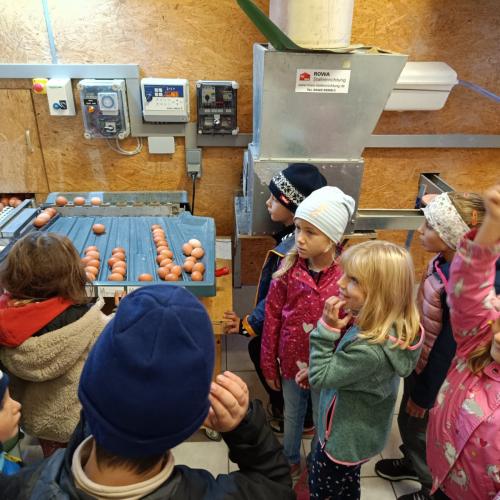 Fisser Goggala - 06