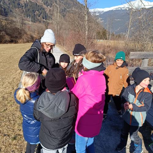 Vögel füttern - 10