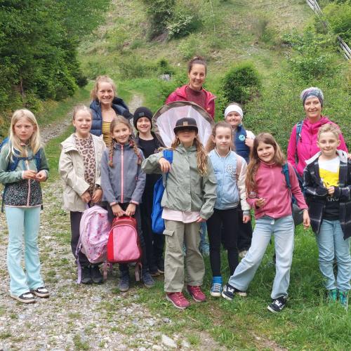 Wildbienen - 13