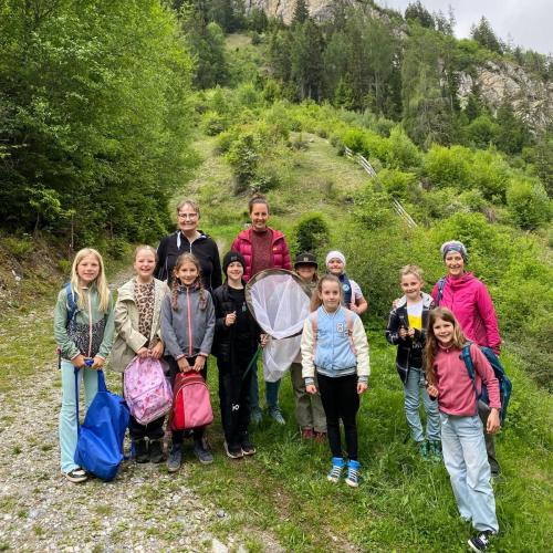 Wildbienen - 14