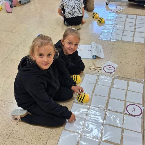 BeeBots - 12