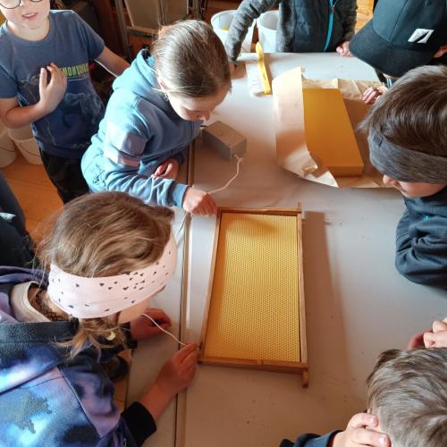 Bienen-08