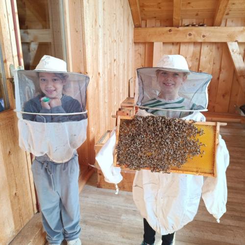 Bienen-12