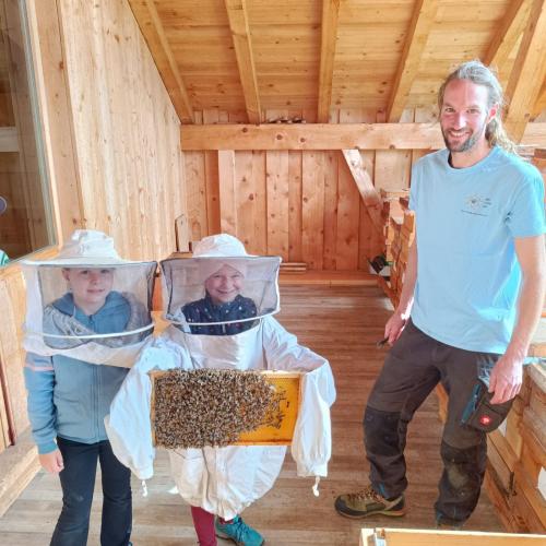 Bienen-13