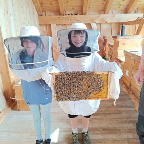 Bienen-05