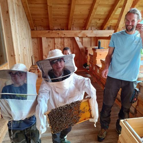 Bienen-15
