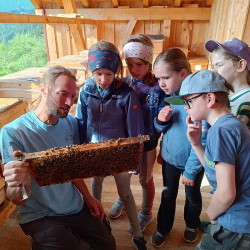 Bienen-16