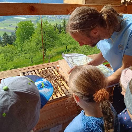 Bienen-18