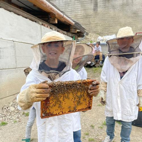 Fleißige Bienen - 07