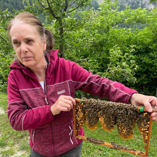 Fleißige Bienen - 09