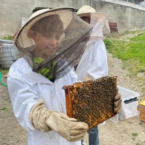 Fleißige Bienen - 10