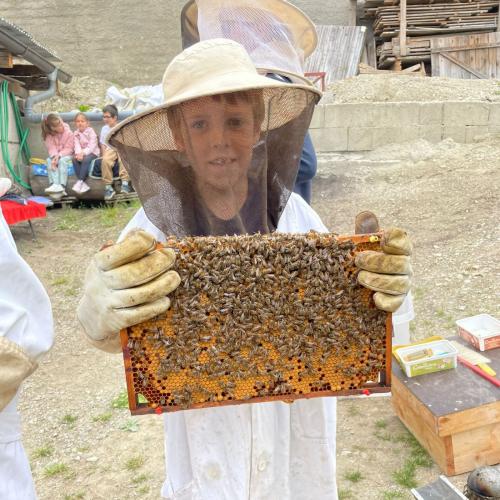 Fleißige Bienen - 11