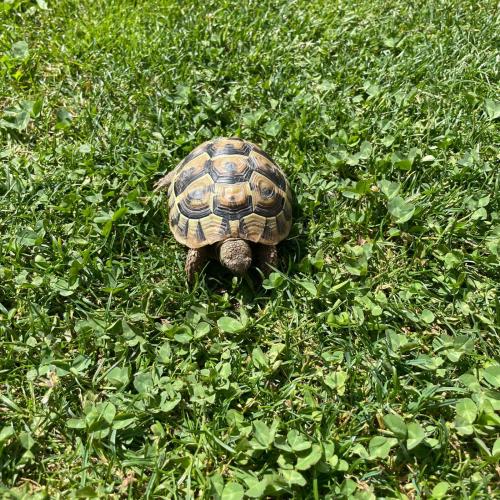 Besuch bei Toni - 11