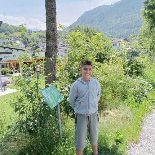 Baumwanderung - 01