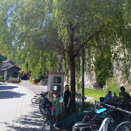 Baumwanderung - 07