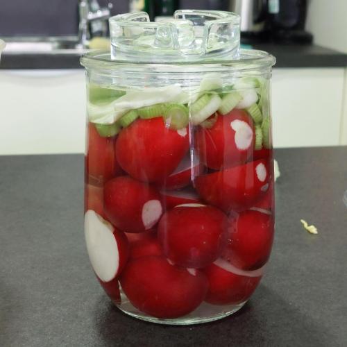 Fermentieren-09