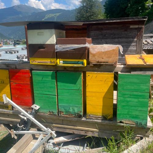 Bienen-22