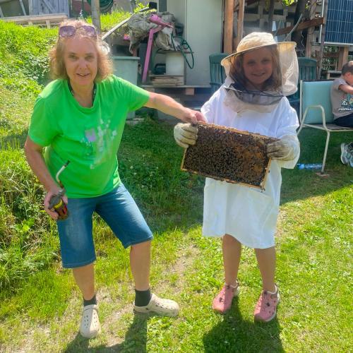 Bienen-26