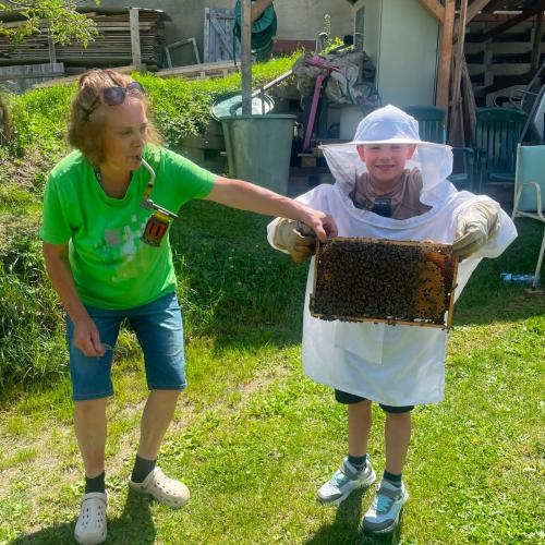 Bienen-27