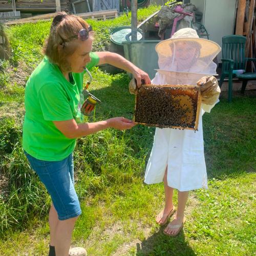 Bienen-30