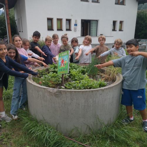 Radieschen-07