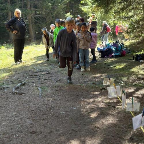 Schutzwaldmärchen-04