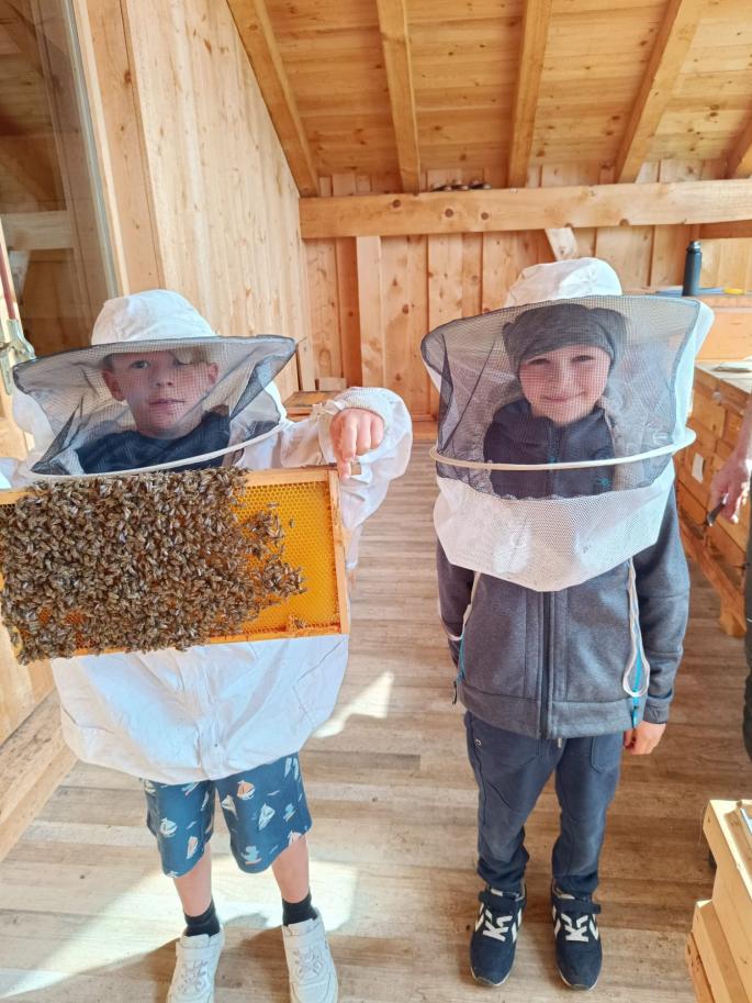Bienen-04