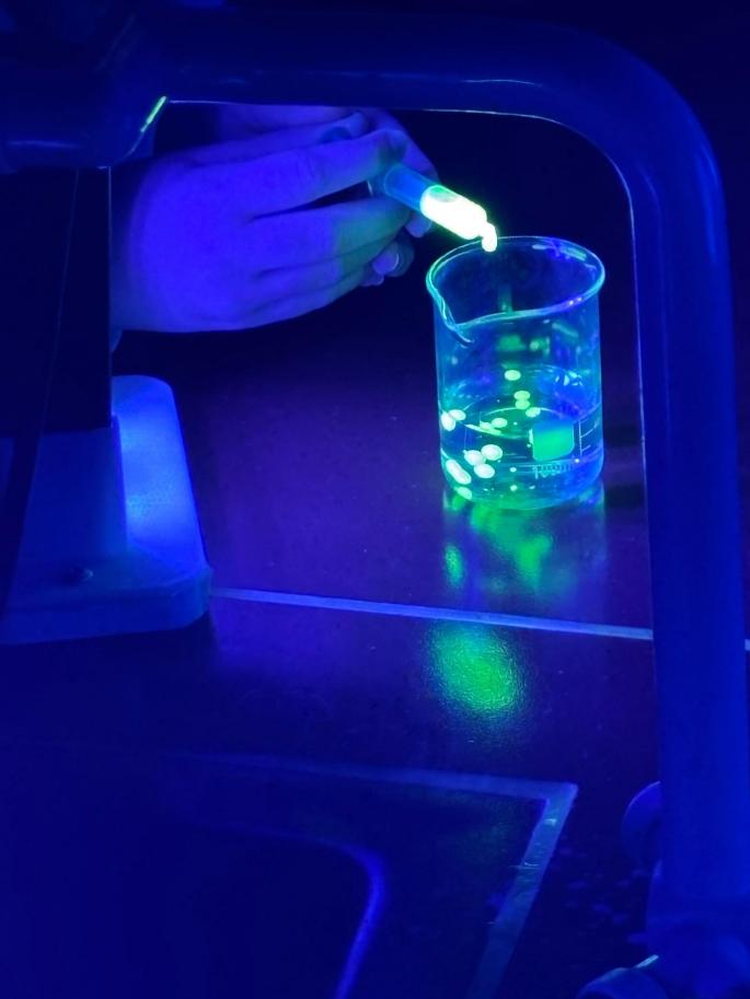 Bildquelle: Catrin Huter Mint-Lab - 23