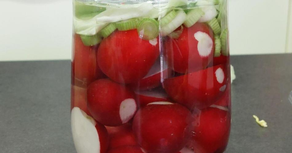Fermentieren-09